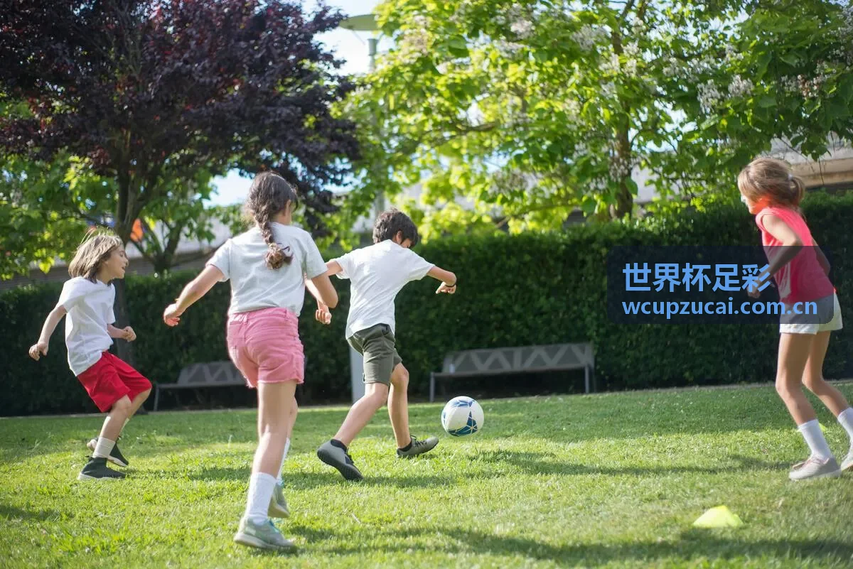 世界杯足彩赔率解读